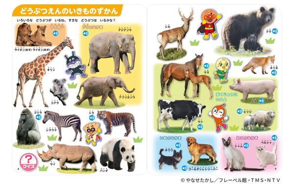 ド定番だけど鉄板【プレゼントにもうれしい！】史上最大3000語＆“きもちのことば”新搭載！アンパンマンことばずかんが進化して登場