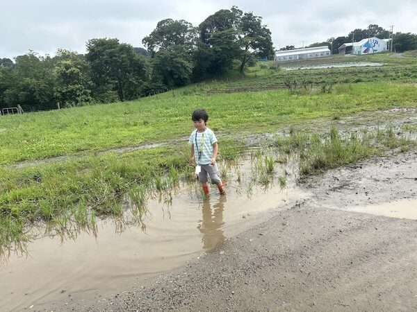 「変化したのは親の方かも」虫を追う5歳と過ごした自然体験1DAYスタディツアー
