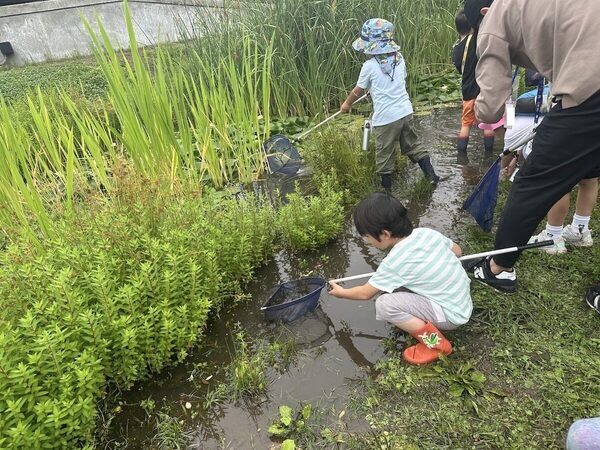 「変化したのは親の方かも」虫を追う5歳と過ごした自然体験1DAYスタディツアー