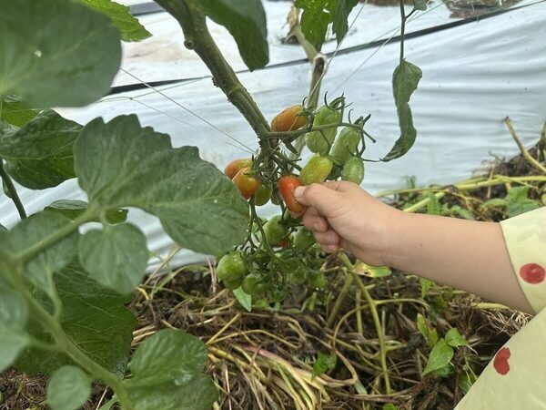 「変化したのは親の方かも」虫を追う5歳と過ごした自然体験1DAYスタディツアー