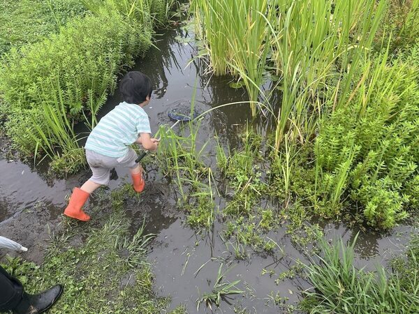 「変化したのは親の方かも」虫を追う5歳と過ごした自然体験1DAYスタディツアー
