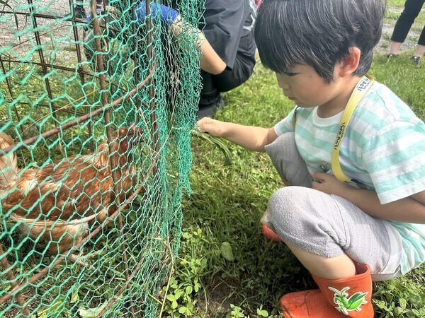 「変化したのは親の方かも」虫を追う5歳と過ごした自然体験1DAYスタディツアー