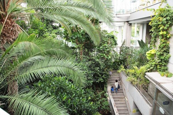 小・中学生が【入館無料】生きた昆虫にさわれる…！虫好きキッズが夢中になる夏休みの昆虫展