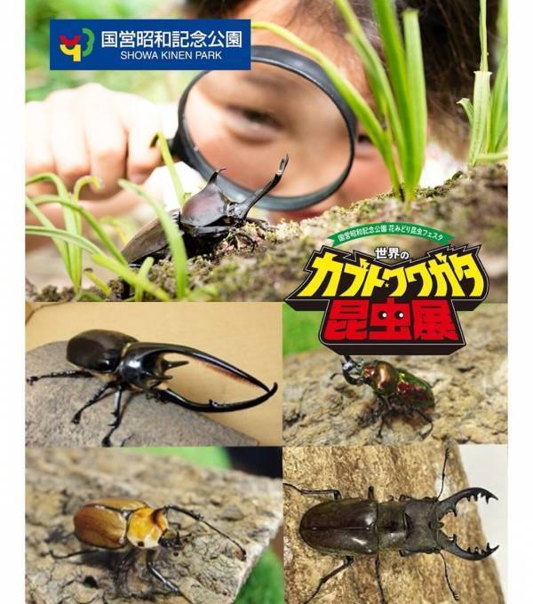 約100匹のカブト・クワガタに触れる！昭和記念公園の昆虫展、小学生以下は入場無料【7/17〜】