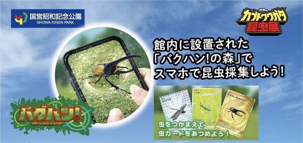 約100匹のカブト・クワガタに触れる！昭和記念公園の昆虫展、小学生以下は入場無料【7/17〜】
