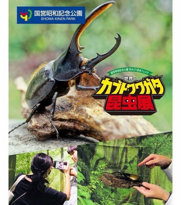 約100匹のカブト・クワガタに触れる！昭和記念公園の昆虫展、小学生以下は入場無料【7/17〜】