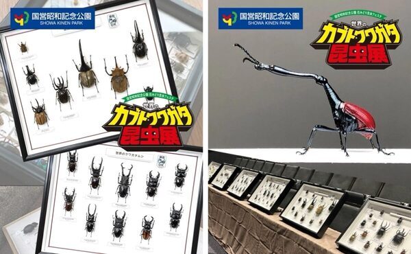 約100匹のカブト・クワガタに触れる！昭和記念公園の昆虫展、小学生以下は入場無料【7/17〜】