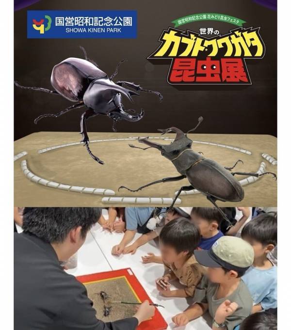 約100匹のカブト・クワガタに触れる！昭和記念公園の昆虫展、小学生以下は入場無料【7/17〜】