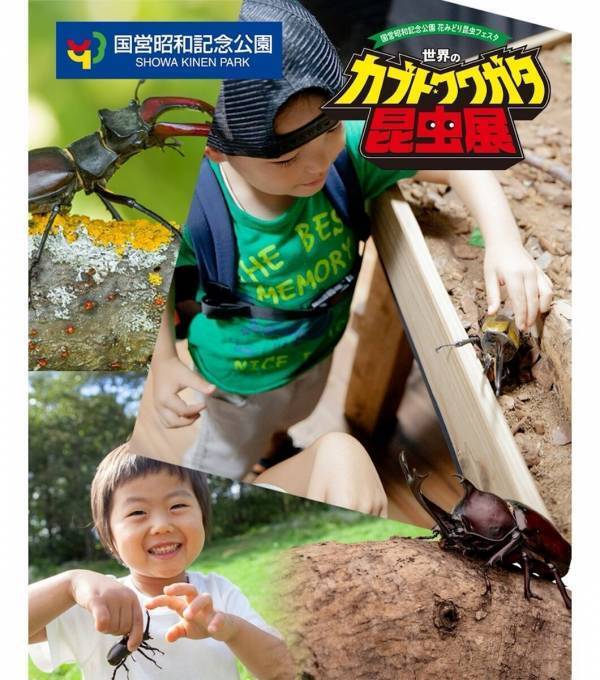 約100匹のカブト・クワガタに触れる！昭和記念公園の昆虫展、小学生以下は入場無料【7/17〜】