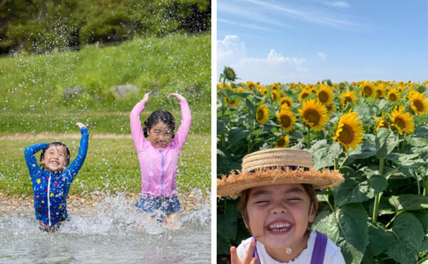 映え～！10万本のひまわりで子どもと写真を撮りたい夏。絶景に恐竜、生き物体験も。1日たっぷり遊べる横須賀の夏イベント
