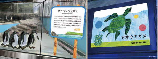 「4歳息子が30分も動かなかった！」しながわ水族館×『はらぺこあおむし』、35周年と50周年を祝う特別展が想像以上