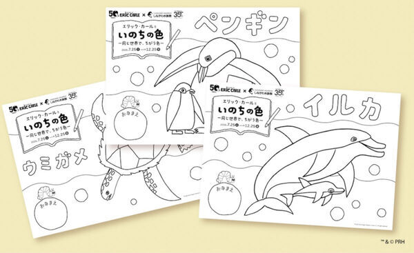 「4歳息子が30分も動かなかった！」しながわ水族館×『はらぺこあおむし』、35周年と50周年を祝う特別展が想像以上