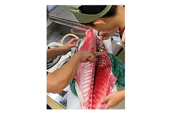 夏休みは東京都内で学んで遊ぼう！東京都が親子・子供向けのイベントを紹介する特設サイトをオープン