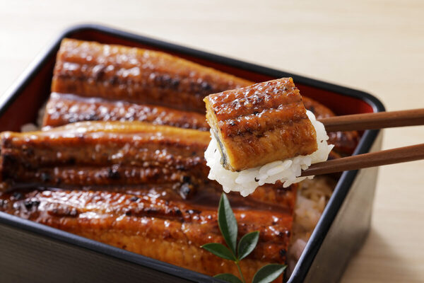 【2026年】土用の丑の日はいつ？ 夏は7月26日｜由来・うなぎ・「う」のつく食べ物を子どもにも解説