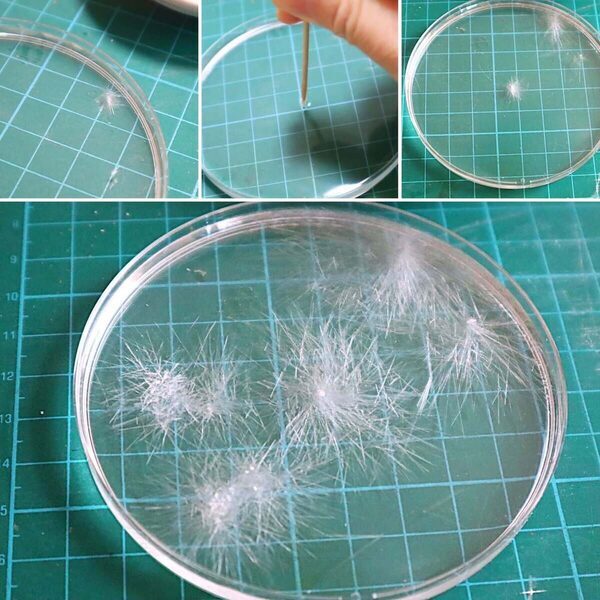 【本音レビュー】『学研の科学 きらめく宝石結晶』は価格以上の価値あり？ コスパと知育効果を徹底検証！