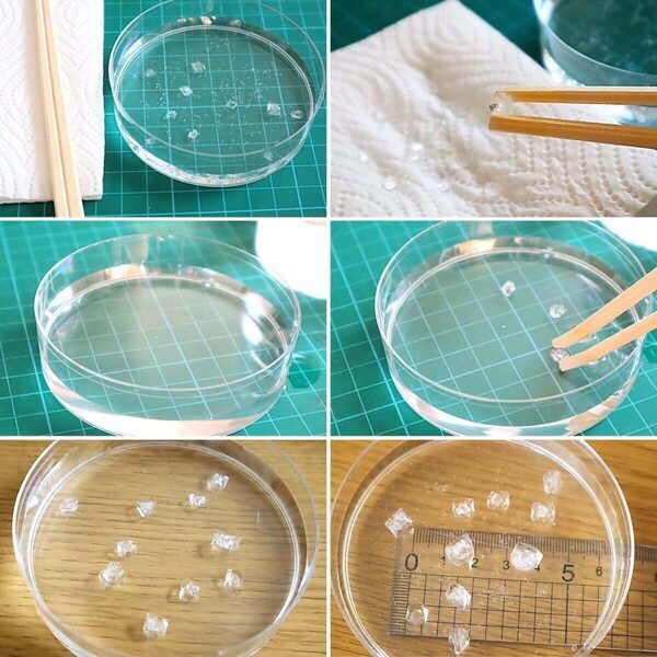 【本音レビュー】『学研の科学 きらめく宝石結晶』は価格以上の価値あり？ コスパと知育効果を徹底検証！