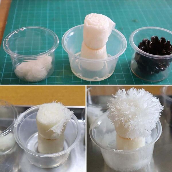 【本音レビュー】『学研の科学 きらめく宝石結晶』は価格以上の価値あり？ コスパと知育効果を徹底検証！