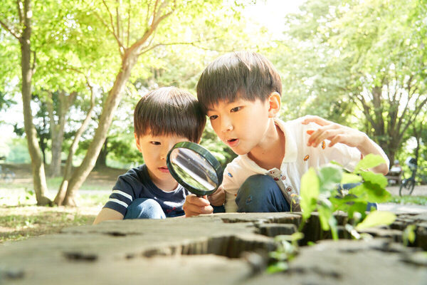 自由研究のテーマが決まらない…夏休みの親のモヤモヤに答える！ 今年こそ知りたい自由研究テーマ選びのコツ