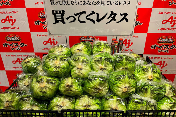【藤原竜也、レタスになる】1万個限定、藤原竜也の顔付きレタスはどこで買える？