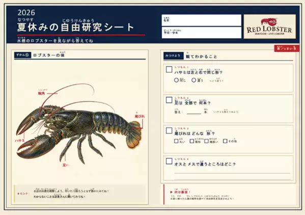 8/1〜31限定、外食しながら自由研究のヒントも。レッドロブスターの新企画