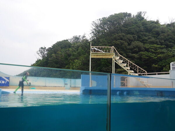 【夏休み、まだ間に合う】首都圏から気軽に行けて思い出いっぱい！近場の子連れ旅おすすめ3選