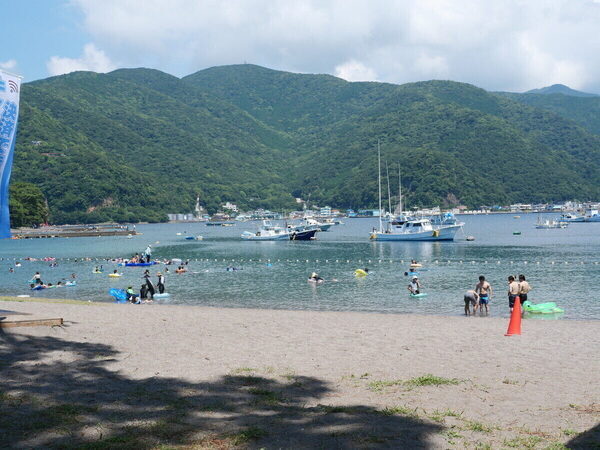 【夏休み、まだ間に合う】首都圏から気軽に行けて思い出いっぱい！近場の子連れ旅おすすめ3選