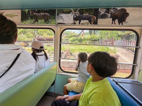 「最高だったね」子どもたち大満足！ 東京発の南紀白浜旅はタイパ抜群の子連れリゾート天国だった。