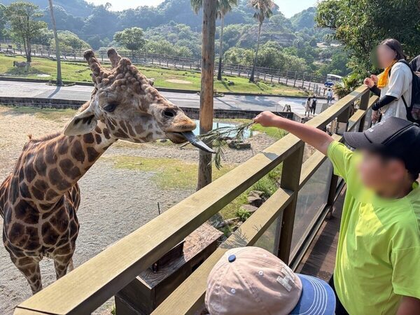 「最高だったね」子どもたち大満足！ 東京発の南紀白浜旅はタイパ抜群の子連れリゾート天国だった。