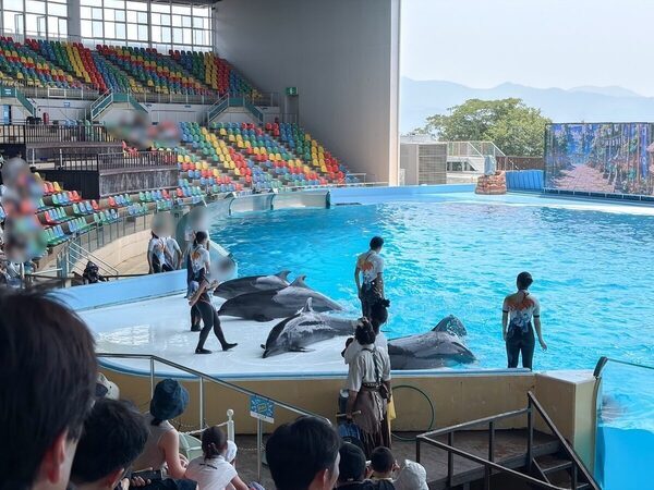 「最高だったね」子どもたち大満足！ 東京発の南紀白浜旅はタイパ抜群の子連れリゾート天国だった。