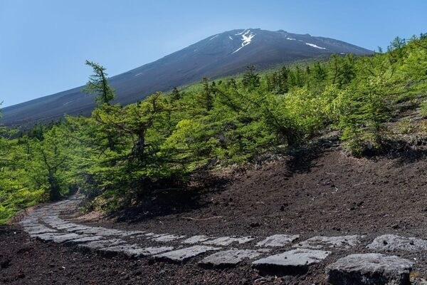 「楽して絶景、何より涼しい」夏こそ行きたい天空ハイキング。標高2600mまで一気に！
