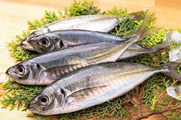 食物繊維だけ摂って「腸活してる」って満足してない？管理栄養士が教える、本当に摂りたい食材