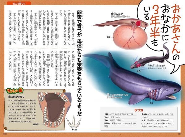生後すぐ崖から100mダイブ！？ お腹に3年半！？ 生き物の"まさかの育ち方"にハマる図鑑が発売