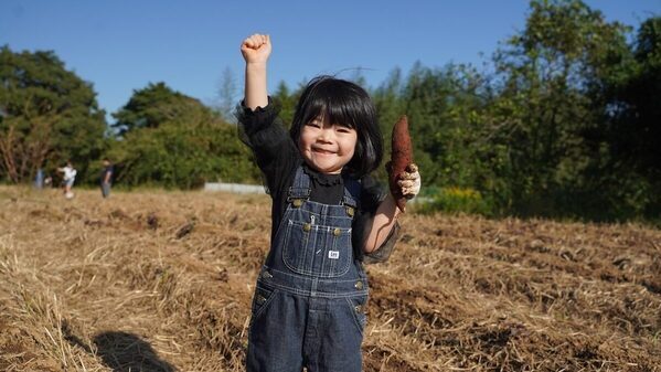 【めっちゃ行きたい！】30分掘り放題で最大10kg⁉「大さつまいも掘りフェスティバル」茨城で開催