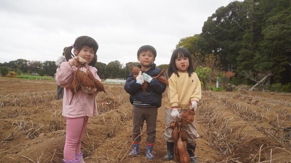 【めっちゃ行きたい！】30分掘り放題で最大10kg⁉「大さつまいも掘りフェスティバル」茨城で開催