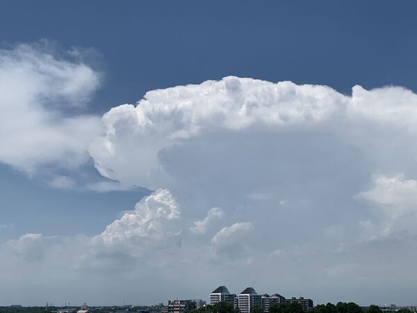突然の強い雨、どうする？ 事前に予想はできるの？ 冠水や浸水にはどうすれば…親子で知りたい天気の知識