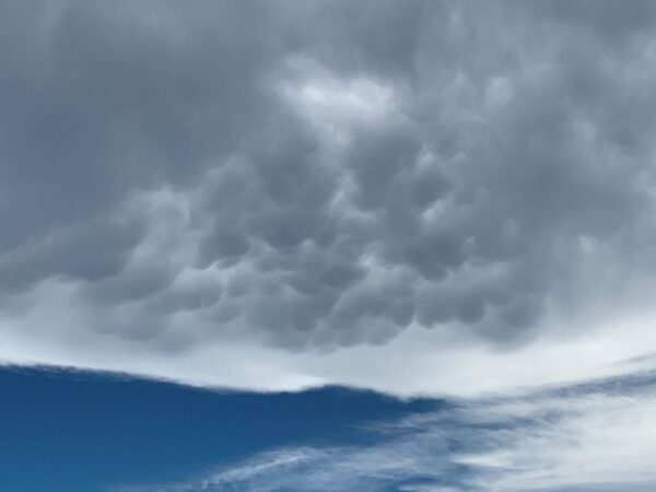 突然の強い雨、どうする？ 事前に予想はできるの？ 冠水や浸水にはどうすれば…親子で知りたい天気の知識