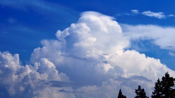 突然の強い雨、どうする？ 事前に予想はできるの？ 冠水や浸水にはどうすれば…親子で知りたい天気の知識