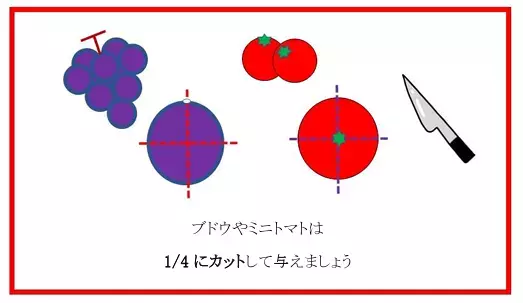 これからブドウは全部この食べ方にするわ…最後まで甘いブドウを食べる方法