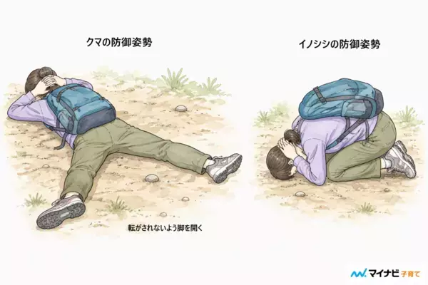 「死んだふりは効果的？」クマ、イノシシ、シカ……野生動物と遭遇したらどうすればいいの？専門家に聞いてみた