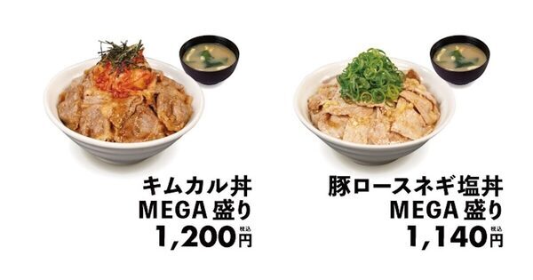 肉好きに贈る、肉2倍の幸せ。ライス特盛の松屋「MEGA盛り」が1週間限定で復活