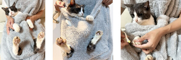 愛猫をポケットに入れて家事もテレワークも!昨年即完売のニトリデコホーム「ニャンポケ着る毛布」に新作