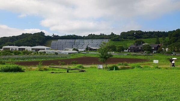 クルックフィールズ（千葉県木更津市）で野菜の収穫から「バグホテル」づくりまで！ 家族で1Dayフィールドワーク