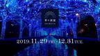 渋谷の冬を彩るイルミネーション『青の洞窟 SHIBUYA』が本日から開始