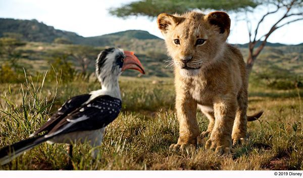 “もふもふ”のかわいいシンバが歌い駆け回る　『ライオン・キング』本編映像公開