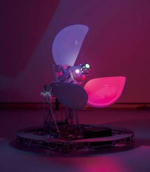 20年以上にわたる女性美術家の活動を振り返る 　『やなぎみわ展 神話機械』展開催