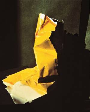 女性写真家のパイオニア・山沢栄子の大規模回顧展が開催