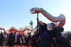 年末恒例“羽子板市”に合わせて「浅草伝統文化まつり」が開催