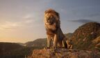 “超実写”版『ライオン・キング』が世界の映画興行を席捲中！