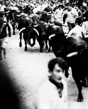 60年代スペインが鮮烈に甦る！ 『奈良原一高のスペイン　約束の旅』