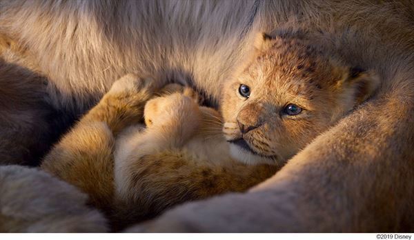 エルトン・ジョン「生きるとは、災いを幸いに変えることだ」　『ライオン・キング』特別映像公開